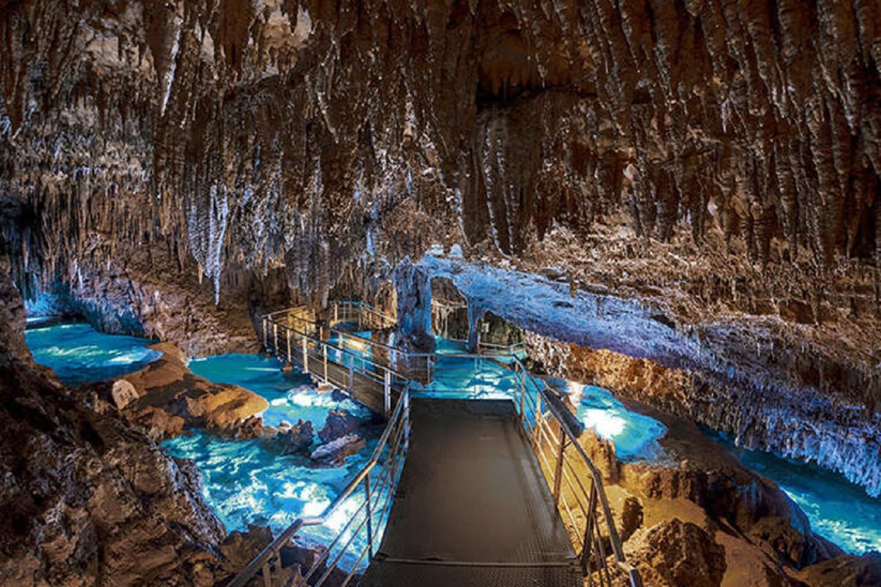 Okinawa Churaumi TokuToku Pass - image 13